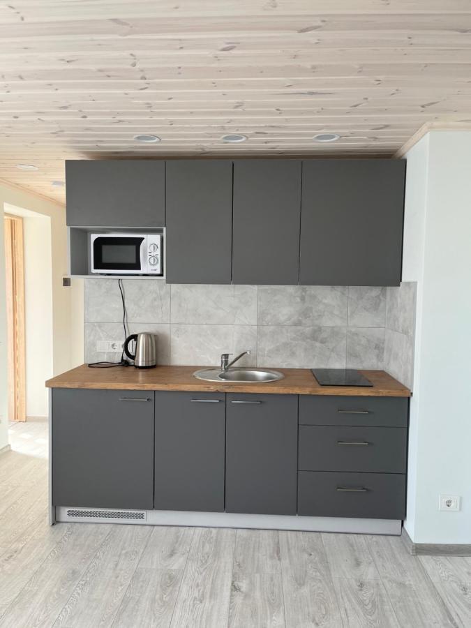 Apartmán Ska Anykščiai Exteriér fotografie